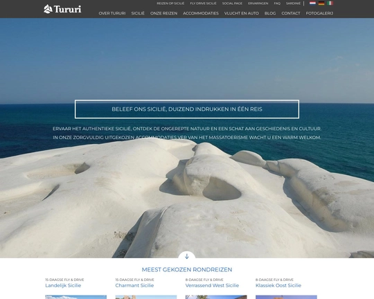 Tururi Logo